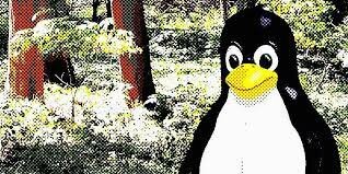 Linux Kernel 5.16.14 (última versión estable)