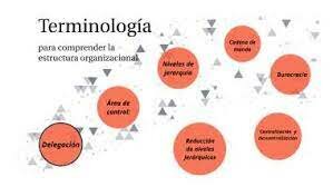 TERMINOLOGIA ORGANIZACIONAL