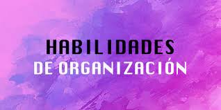 ¿Que es la habilidad organizaciónal?