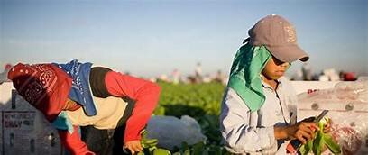 el Periodo De 1970 a 2012