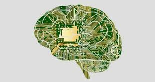 Teoría curricular Tecnicista