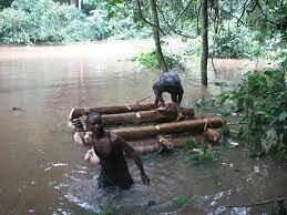 Make Shift Government