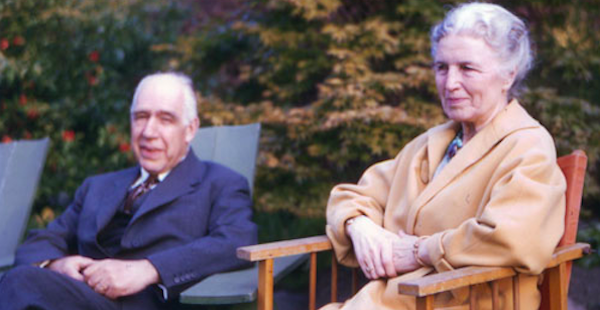 Doctorate & Engangement