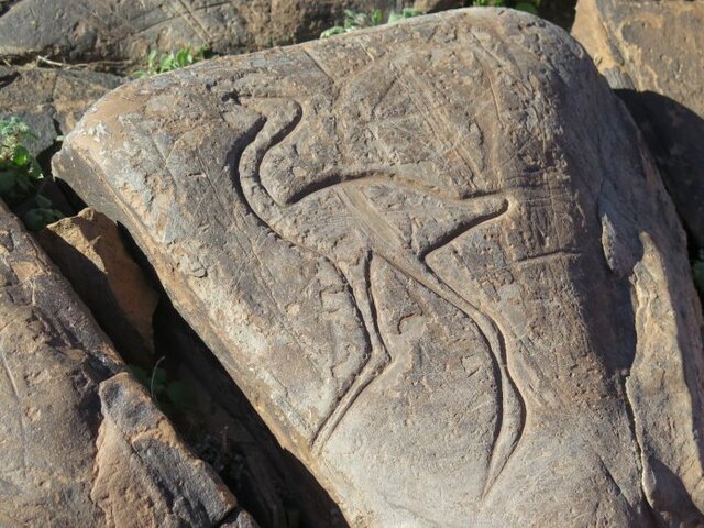 Petroglifos