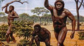 Timeline: PREHISTORIA