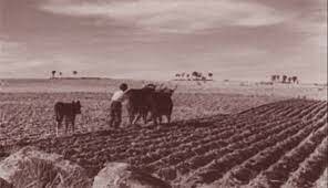 Ley de Contratos de Cultivo de Cataluña