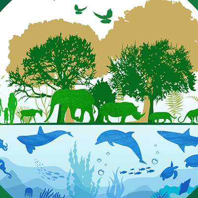 Timeline: LÍNEA DE TIEMPO SOBRE EL DESARROLLO DEL CONOCIMIENTO EN EL ESTUDIO DEL MANEJO DE FAUNA