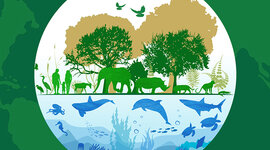 Timeline: LÍNEA DE TIEMPO SOBRE EL DESARROLLO DEL CONOCIMIENTO EN EL ESTUDIO DEL MANEJO DE FAUNA