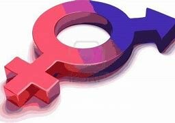 CONTRUCTOS POR EXPERIENCIA