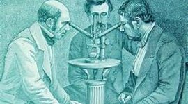 Timeline: Life & Evolution Timeline