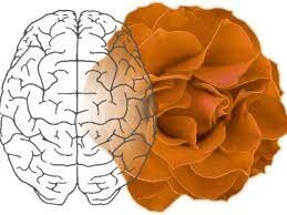 Método "Suggestopedia"