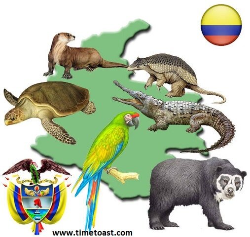 DECRETO 1608 DE 1978