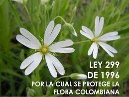 Ley 299 de 1996