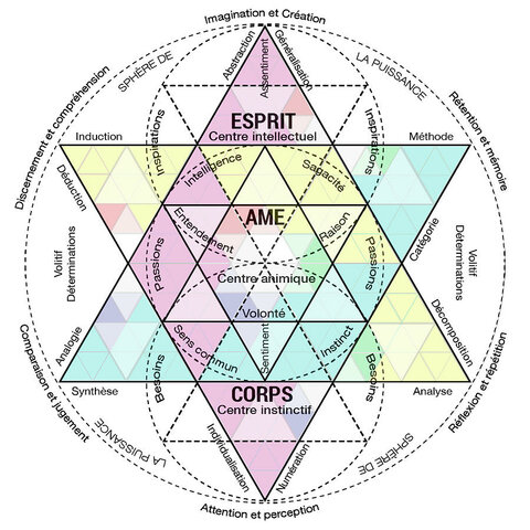 The constitution of man