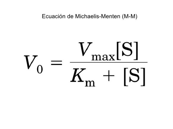 Apogeo de la cinética enzimática