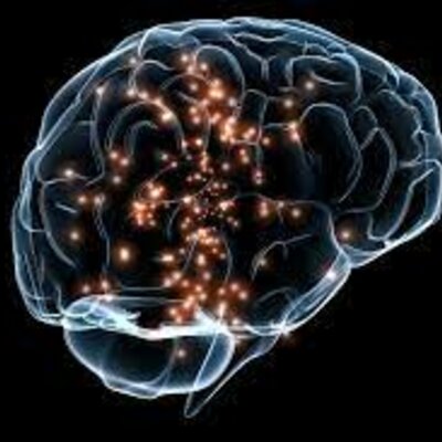 Timeline: Historia de la Neurociencia