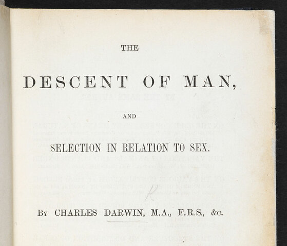 The Descent of Man, and Selection in Relation to Sex