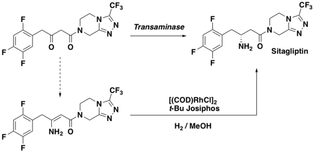 Diseño de enzimas transferasas