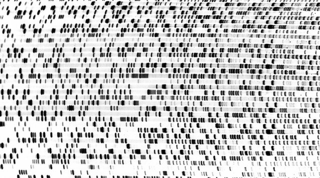 Determinación de la secuencia del ADN