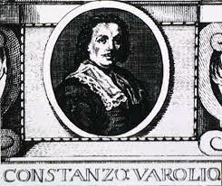 Constancio Varolio