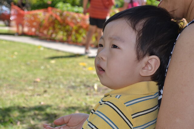 Life as Parents for Noah: Trust vs. Mistrust