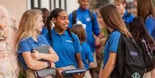 identity vs. confusion