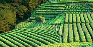 Acontecimientos de la era Neolitica