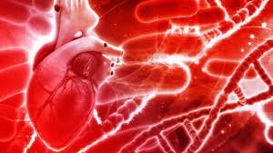 La circulació de la sang