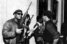 Black Panthers