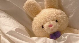 Timeline: Historia del Perú y el mundo