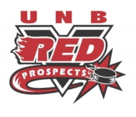 4 ma premier jeux d'hockey