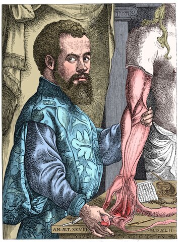 Andrés Vesalio