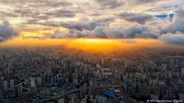 Aumenta la población desenfrenadamente