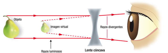 Lentes visuales.