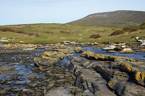 Britanicos abandonan las islas