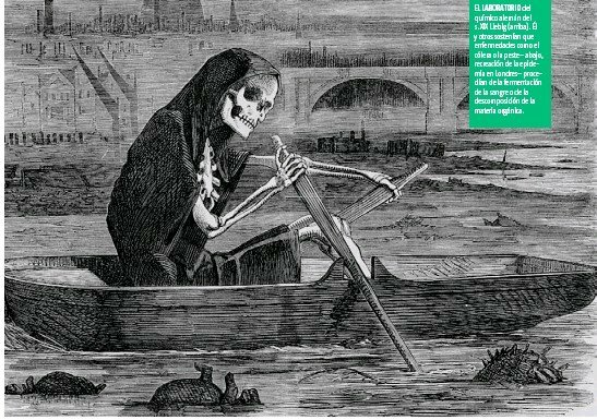 La fiebre amarilla se cataloga miasmática