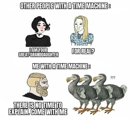 Técnicas de Casería