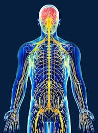 Revolucion cientifica