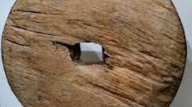 Timeline: Transport On land