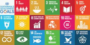 Entra in vigore L'Agenda 2030