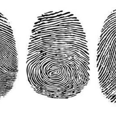 Timeline: Fingerprint