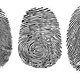 Fingerprint cover