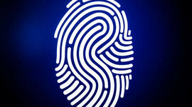 Timeline: Jake Perlowin's Fingerprint Timeline