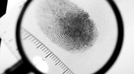 Timeline: Fingerprint Timeline
