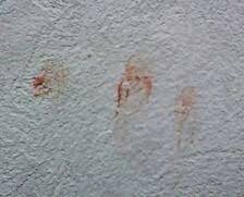 Fingerprints Used To Solve Crime