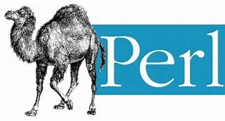 Se inventa Perl