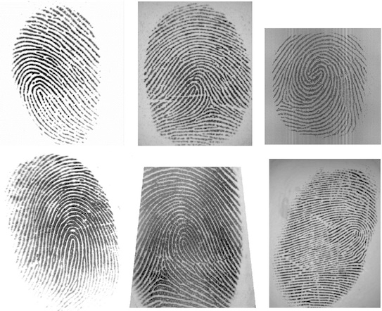 Computer Data Base of Fingerprints is Created