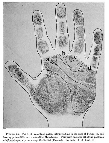 First palm print identification is made in Nevada