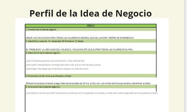 Perfil de la idea de Negocio