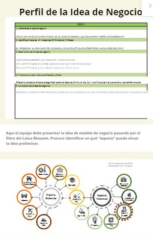 Perfil de la Idea de Negocio